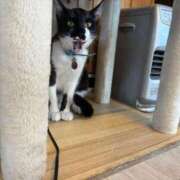 ヒメ日記 2025/10/18 16:15 投稿 りさ 若葉