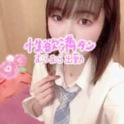 ヒメ日記 2024/12/19 09:48 投稿 しょう 折り紙 ORIGAMI