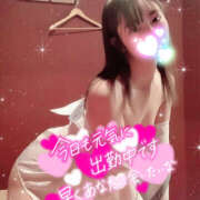 ヒメ日記 2024/12/19 15:03 投稿 しょう 折り紙 ORIGAMI