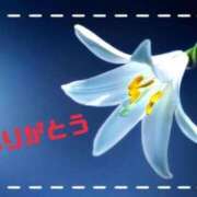 ヒメ日記 2025/01/26 21:23 投稿 ゆか 即トク奥さん