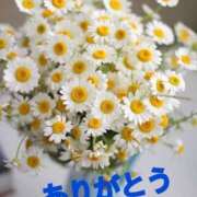 ヒメ日記 2025/02/16 15:36 投稿 ゆか 即トク奥さん