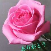 ヒメ日記 2025/03/23 01:20 投稿 ゆか 即トク奥さん