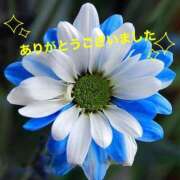 ヒメ日記 2025/04/05 19:50 投稿 ゆか 即トク奥さん