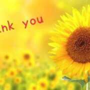 ヒメ日記 2025/04/19 17:40 投稿 ゆか 即トク奥さん