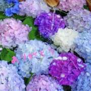 ヒメ日記 2025/05/06 22:50 投稿 ゆか 即トク奥さん