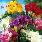 ヒメ日記 2025/05/07 07:40 投稿 ゆか 即トク奥さん