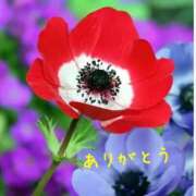 ヒメ日記 2025/05/17 13:05 投稿 ゆか 即トク奥さん