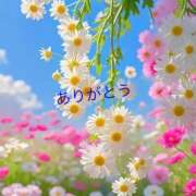 ヒメ日記 2025/05/24 23:50 投稿 ゆか 即トク奥さん