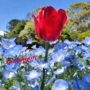 ヒメ日記 2025/06/21 18:02 投稿 ゆか 即トク奥さん