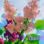 ヒメ日記 2025/06/21 18:23 投稿 ゆか 即トク奥さん