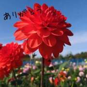 ヒメ日記 2025/06/22 09:20 投稿 ゆか 即トク奥さん