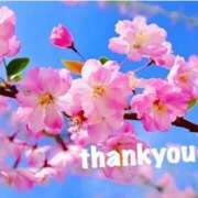 ヒメ日記 2025/06/29 17:50 投稿 ゆか 即トク奥さん