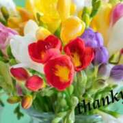 ヒメ日記 2025/07/06 15:40 投稿 ゆか 即トク奥さん