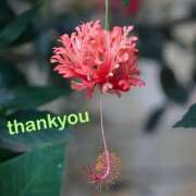 ヒメ日記 2025/07/09 13:40 投稿 ゆか 即トク奥さん