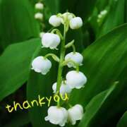 ヒメ日記 2025/07/13 08:10 投稿 ゆか 即トク奥さん