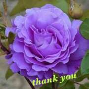 ヒメ日記 2025/07/20 12:20 投稿 ゆか 即トク奥さん