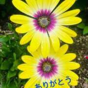 ヒメ日記 2025/07/20 12:40 投稿 ゆか 即トク奥さん