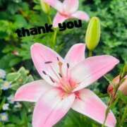 ヒメ日記 2025/07/27 21:20 投稿 ゆか 即トク奥さん