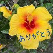 ヒメ日記 2025/08/09 13:10 投稿 ゆか 即トク奥さん