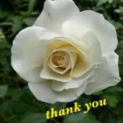 ヒメ日記 2025/08/09 18:20 投稿 ゆか 即トク奥さん