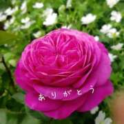 ヒメ日記 2025/08/09 23:04 投稿 ゆか 即トク奥さん