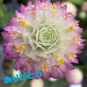 ヒメ日記 2025/08/16 15:34 投稿 ゆか 即トク奥さん