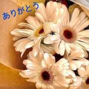 ヒメ日記 2025/08/16 20:40 投稿 ゆか 即トク奥さん