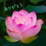 ヒメ日記 2025/08/17 00:20 投稿 ゆか 即トク奥さん