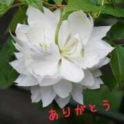 ヒメ日記 2025/08/30 17:29 投稿 ゆか 即トク奥さん