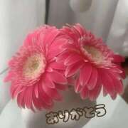 ヒメ日記 2025/09/06 15:28 投稿 ゆか 即トク奥さん