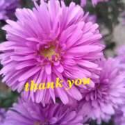 ヒメ日記 2025/09/20 20:40 投稿 ゆか 即トク奥さん