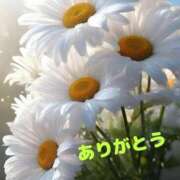 ヒメ日記 2025/09/21 08:00 投稿 ゆか 即トク奥さん