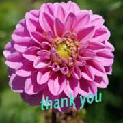 ヒメ日記 2025/09/27 21:41 投稿 ゆか 即トク奥さん