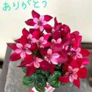 ヒメ日記 2025/10/26 00:04 投稿 ゆか 即トク奥さん