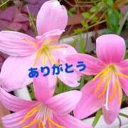 ヒメ日記 2025/11/22 17:50 投稿 ゆか 即トク奥さん