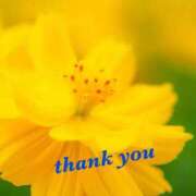 ヒメ日記 2026/01/31 15:17 投稿 ゆか 即トク奥さん