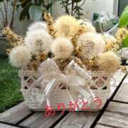 ヒメ日記 2026/02/28 19:20 投稿 ゆか 即トク奥さん