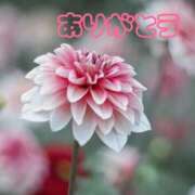 ゆか ありがとう 即トク奥さん