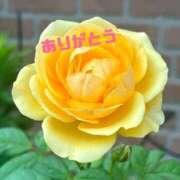 ヒメ日記 2026/02/28 23:51 投稿 ゆか 即トク奥さん