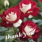 ゆか ありがとう 即トク奥さん