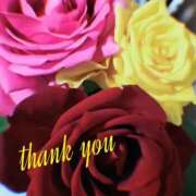 ヒメ日記 2026/03/15 01:40 投稿 ゆか 即トク奥さん