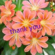 ヒメ日記 2026/03/29 00:00 投稿 ゆか 即トク奥さん