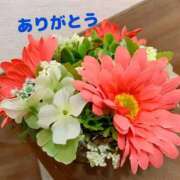 ヒメ日記 2026/05/31 00:23 投稿 ゆか 即トク奥さん