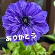 ヒメ日記 2026/06/27 15:30 投稿 ゆか 即トク奥さん