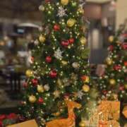 ヒメ日記 2024/12/24 19:57 投稿 広瀬しおん 乳ビーナス(New Venus)