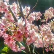 ヒメ日記 2025/03/28 14:05 投稿 広瀬しおん 乳ビーナス(New Venus)