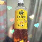 ヒメ日記 2025/01/16 00:19 投稿 かなえ 香川高松ちゃんこ