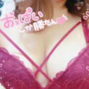 ヒメ日記 2025/02/02 03:19 投稿 かなえ 香川高松ちゃんこ