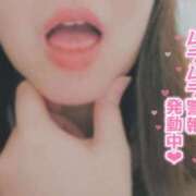 ヒメ日記 2025/02/02 13:49 投稿 かなえ 香川高松ちゃんこ