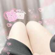 ヒメ日記 2025/02/26 17:09 投稿 かなえ 香川高松ちゃんこ